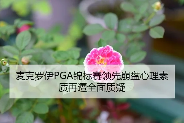 麦克罗伊PGA锦标赛领先崩盘心理素质再遭全面质疑